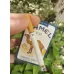 CAMEL BLUE (미국)