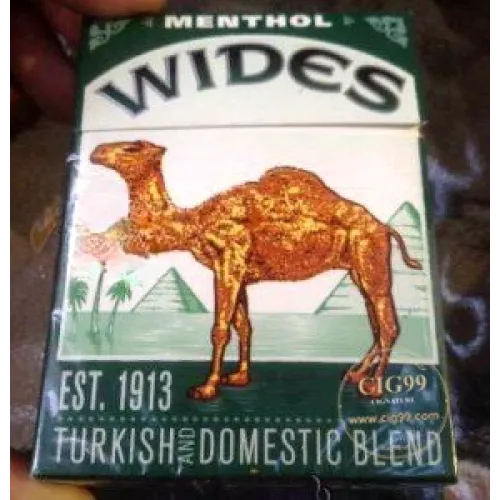 美国旧版骆驼宽版薄荷