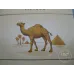 Camel (담배 버전)