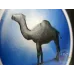 CAMEL (캡슐 미국 면세 버전)