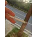 健牌 CLASSIC