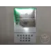 KENT (Mint 1)