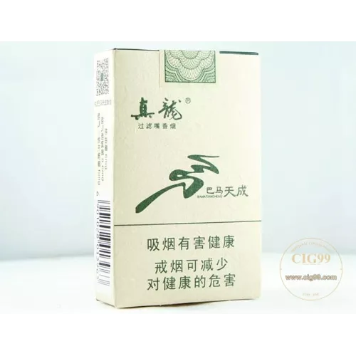 Zhenlong (Bama Tiancheng)
