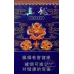 Zhenlong Jiaozai Brand Cigarettes - Genuine Product