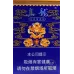 Zhenlong Jiaozai Brand Cigarettes - Genuine Product